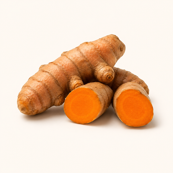 Curcuma titré 95 %